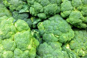 Broccoli Brassica oleracea var. italica sfaturi utile