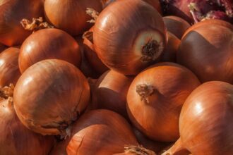 Ceapa Allium cepa sfaturi utile