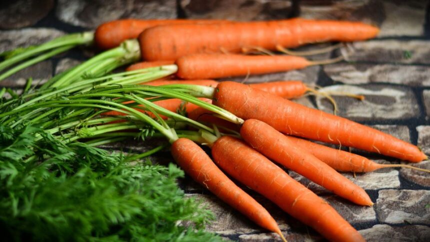 Morcovi Daucus carota sfaturi utile