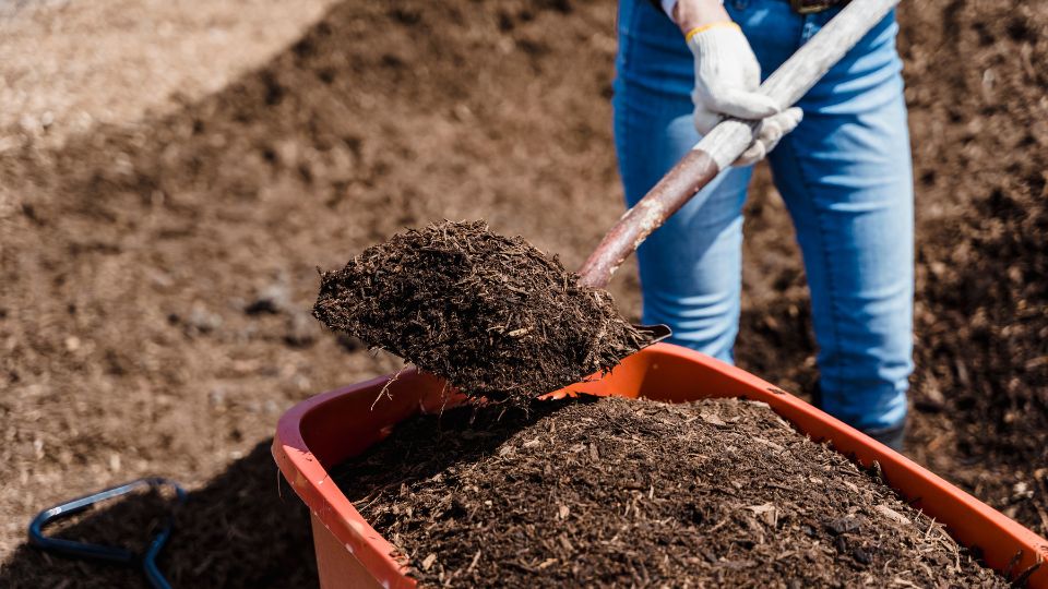 Mulcirea solului 3 sfaturi utile