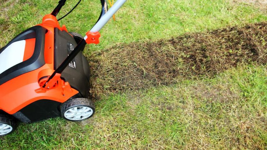 Scarificarea gazonului 3 sfaturi utile