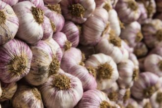 Usturoi Allium sativum sfaturi utile