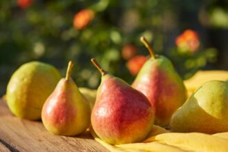 10 cele mai delicioase soiuri de pere sfaturi utile
