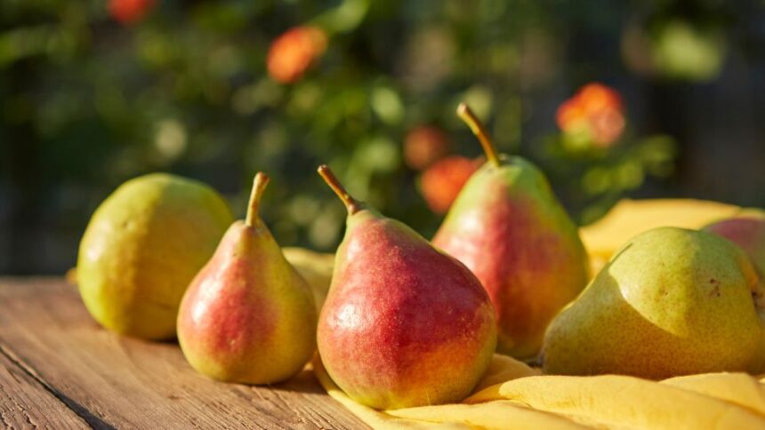 10 cele mai delicioase soiuri de pere sfaturi utile