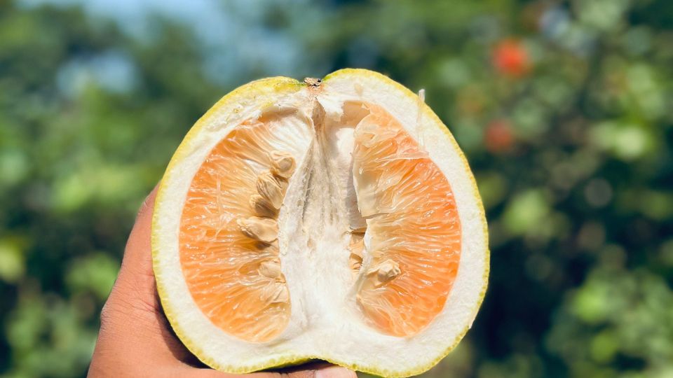 Pomelo 1 sfaturi utile
