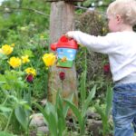 Lucruri de facut in gradina de flori la inceputul verii 1 sfaturi utile
