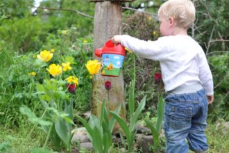 Lucruri de facut in gradina de flori la inceputul verii 1 sfaturi utile