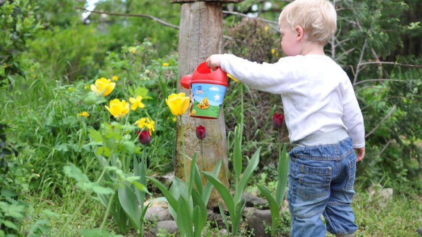 Lucruri de facut in gradina de flori la inceputul verii 1 sfaturi utile